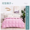 自制充羽绒被壳被套 半成品防钻绒钻毛被套高密贡缎防羽内胆布料 商品缩略图1