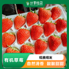 【预售】有机草莓 | 7天左右陆续发货 |  * Organic Strawberry 商品缩略图0