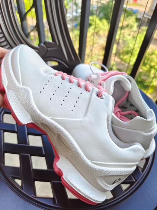 外贸原单【15周年纪念款】ECCO爱步户外运动登山跑步鞋女 健步BIOMC800333，贸易公司渠道
尺码35-40码 商品图7