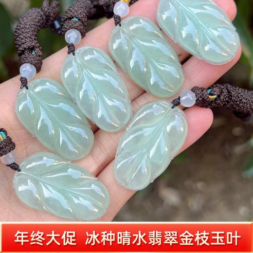 【直播大场福利】冰种晴水翡翠金枝玉叶 吊坠 含证书 随机发货 商品图0