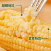 正宗东北黄糯玉米真空包装非转基因源于黑土地滋养玉米生长好鲜甜香糯保留本味早餐代餐减脂餐首选 商品缩略图5