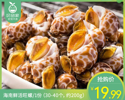 海南鲜活旺螺/1份（30-40个，约200g） 商品图0