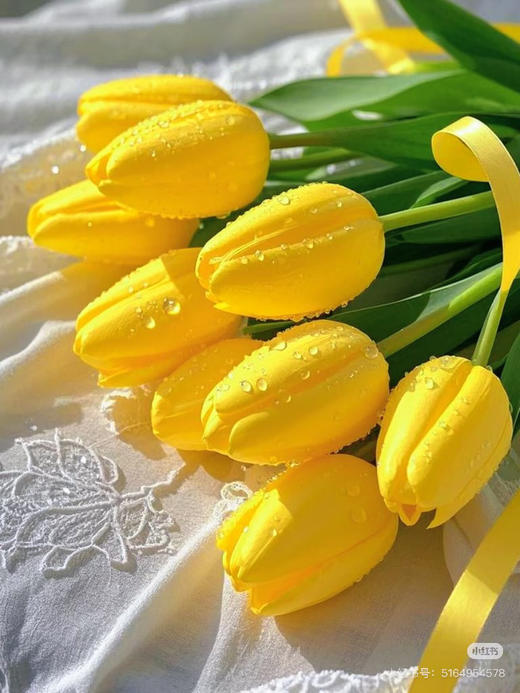 【国产郁金香】 黄色  约10支/扎 商品图3