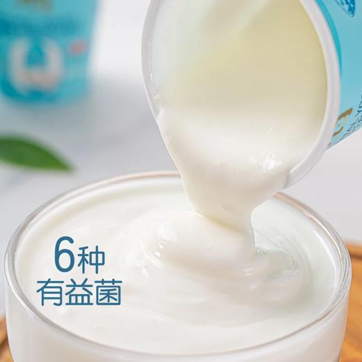 麦德龙 麦臻选轻酪原味酸奶 100g*8 商品图3