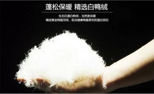 【33道工序正规无异味羽绒】散装1斤98鹅绒无菌95鸭绒羽绒服羽绒被填充物白大朵 商品图3