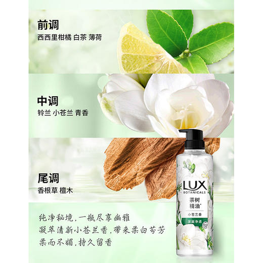 力士小苍兰香氛沐浴露-纪念日百货门店同款169646675 商品图2