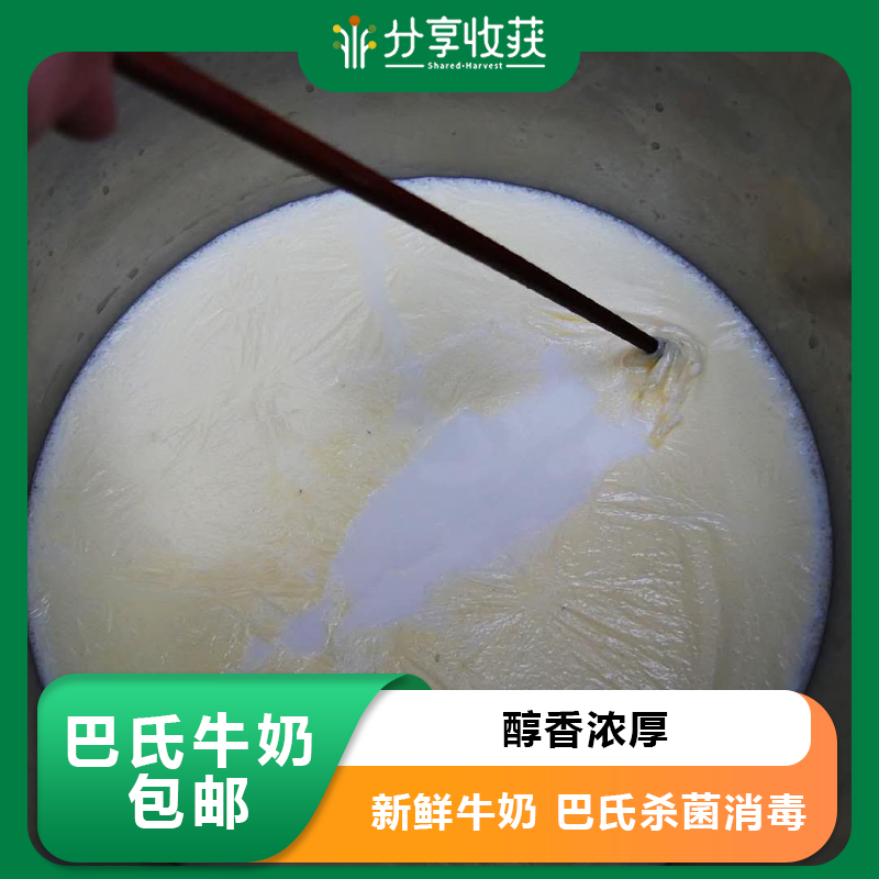【买就送】巴氏牛奶包邮 |  醇香浓厚 | 石嫣农场*Pasteurized milk