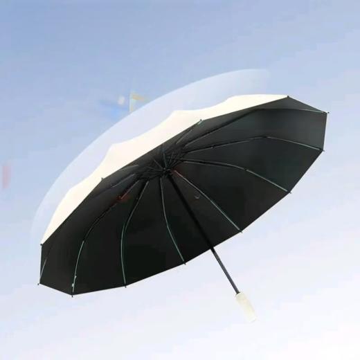 【MMK】雨伞 商品图0