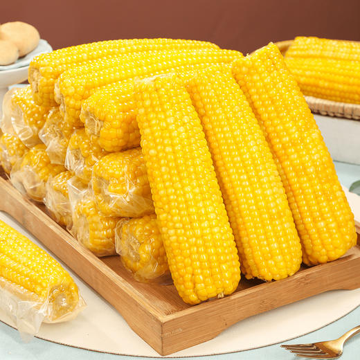 正宗东北黄糯玉米真空包装非转基因源于黑土地滋养玉米生长好鲜甜香糯保留本味早餐代餐减脂餐首选 商品图3