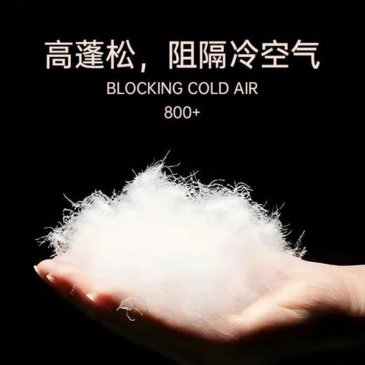 【33道工序正规无异味羽绒】散装1斤98鹅绒无菌95鸭绒羽绒服羽绒被填充物白大朵 商品图6