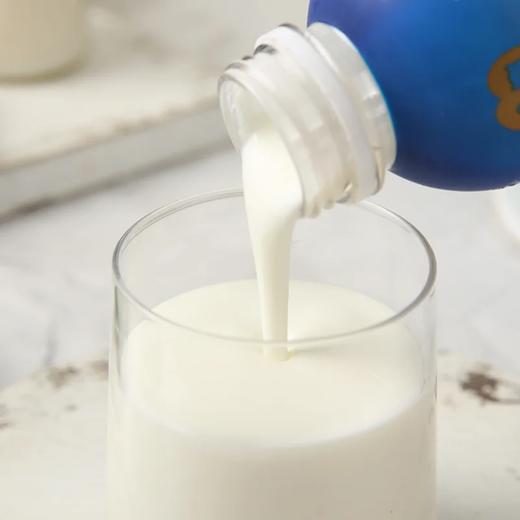 麦德龙 麦臻选0蔗糖畅翻酸奶 300g*4 商品图3