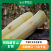 有机武夷山甘蔗 |公平贸易 | 基地直发* Sugar Cane | Coproducted 商品缩略图0