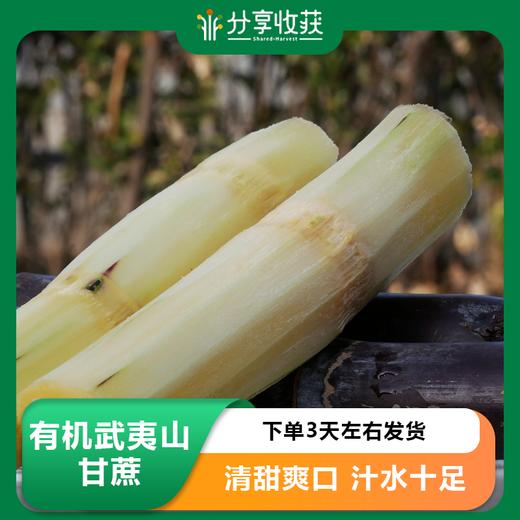 有机武夷山甘蔗 |公平贸易 | 基地直发* Sugar Cane | Coproducted 商品图0