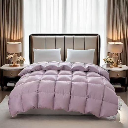 （全棉静音羽绒被套 送工具）款自制羽绒被壳半成品 自充绒高密双层防钻绒自制套 商品图8