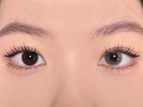 Bollycon半年抛美瞳 百日坠梦 14.2mm