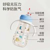 布奇大师系列 PPSU 一瓶三用 礼盒 奶瓶套装300m 粉蓝 商品缩略图1