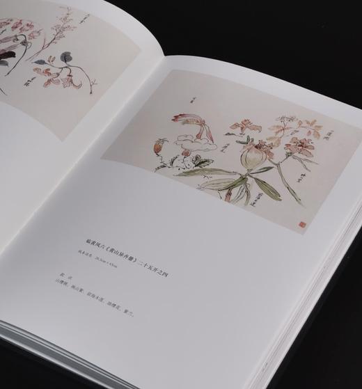 【特惠】《荣宝斋藏张大千精品集+黄宾虹精品集》，16开，平装，张大千，黄宾虹绘，荣宝斋出版社，2025年一版一印，总定价：506，售价：188，可分售 张大千一册售价：88，黄宾虹一册售价：100 商品图14