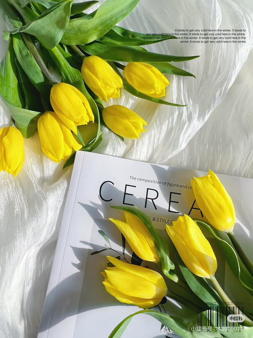 【国产郁金香】 黄色  约10支/扎 商品图5