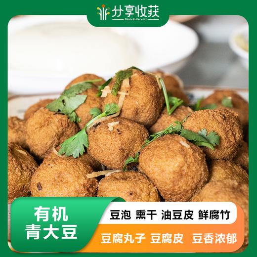 有机青大豆 | (双青豆制品) 豆泡 熏干 油豆皮 鲜腐竹 豆腐丸子 豆腐皮 | 豆香浓郁  | 公平贸易 * Organic Green Soybean Products 商品图0