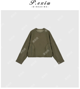04-2潘依绣丁丁宠粉设计感水洗做旧时尚套头长袖卫衣 Q7113