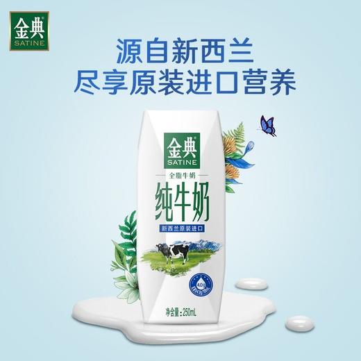 伊利金典250ml*12新西兰进口纯牛奶 商品图2