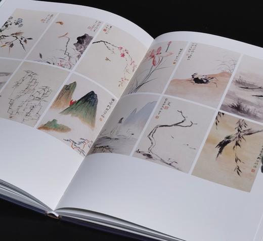 【特惠】《荣宝斋藏张大千精品集+黄宾虹精品集》，16开，平装，张大千，黄宾虹绘，荣宝斋出版社，2025年一版一印，总定价：506，售价：188，可分售 张大千一册售价：88，黄宾虹一册售价：100 商品图11