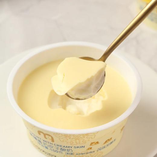 麦德龙 麦臻选奶皮子酸奶 100g*6 商品图2