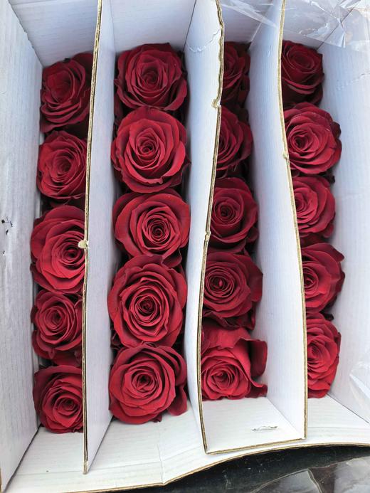 国产玫瑰花高原红10支 商品图9