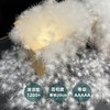 【33道工序正规无异味羽绒】散装1斤98鹅绒无菌95鸭绒羽绒服羽绒被填充物白大朵 商品缩略图2