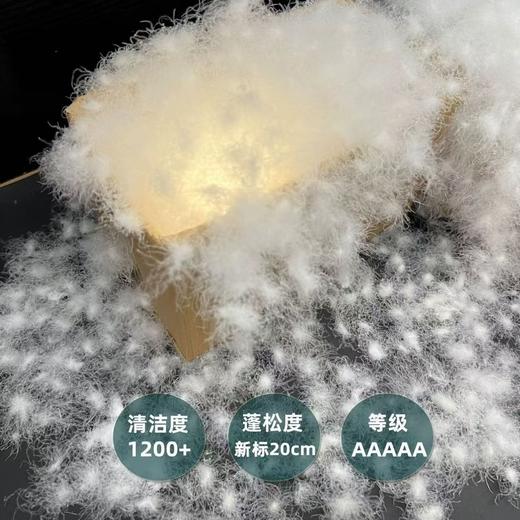 【33道工序正规无异味羽绒】散装1斤98鹅绒无菌95鸭绒羽绒服羽绒被填充物白大朵 商品图2