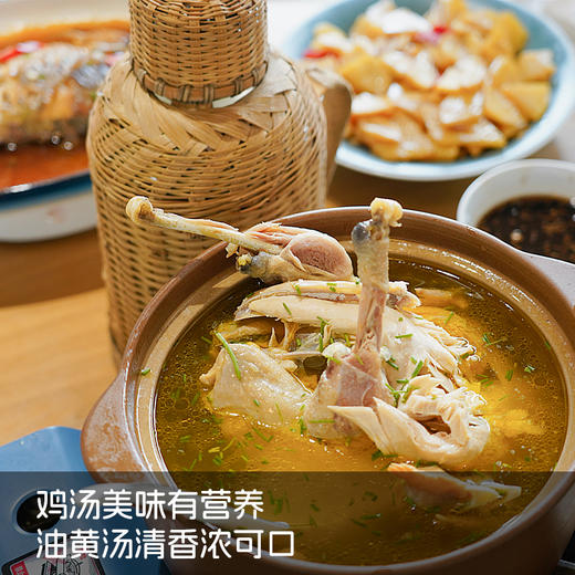 特G有机散养老母鸡/散养土公鸡/谷饲徽州童子鸡/黄油老母鸡 新鲜现杀农家土鸡  红烧爆炒/盐焗烧烤/炖汤滋补 整只发货 商品图1