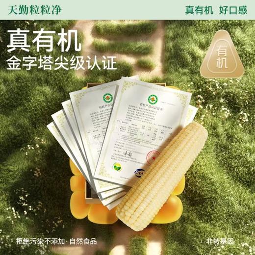 [最农公社]当季有机精品白糯玉米9支新鲜甜软糯铝箔包装 商品图4