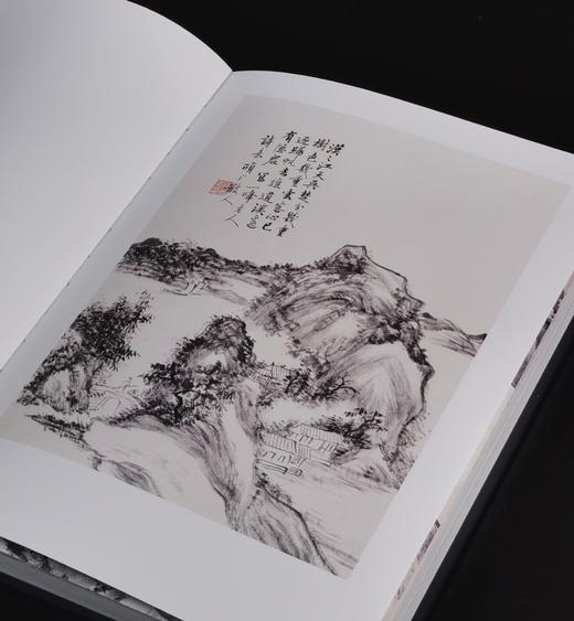 【特惠】《荣宝斋藏张大千精品集+黄宾虹精品集》，16开，平装，张大千，黄宾虹绘，荣宝斋出版社，2025年一版一印，总定价：506，售价：188，可分售 张大千一册售价：88，黄宾虹一册售价：100 商品图12