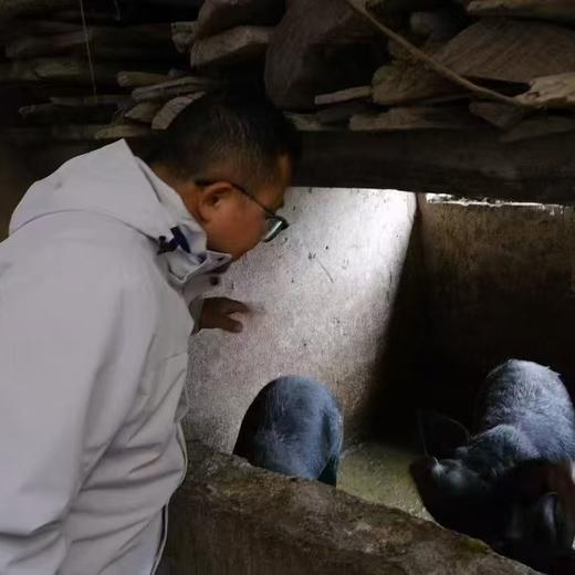 古法腊制贵州腊肉 一口吃出深山烟火气 农家散养土猪才够味 商品图1