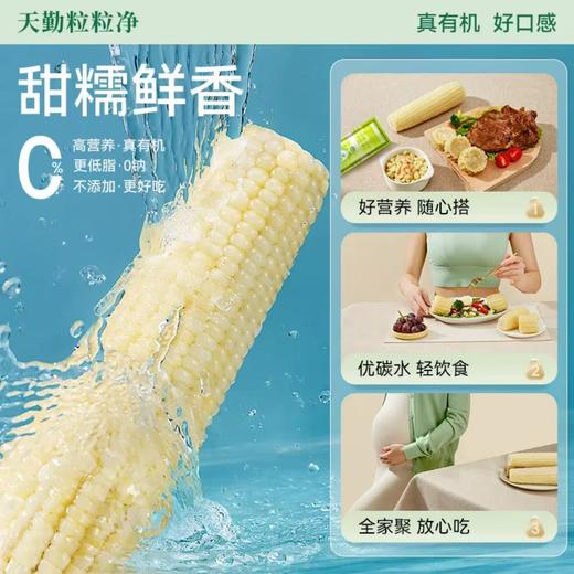 [最农公社]当季有机精品白糯玉米9支新鲜甜软糯铝箔包装 商品图2