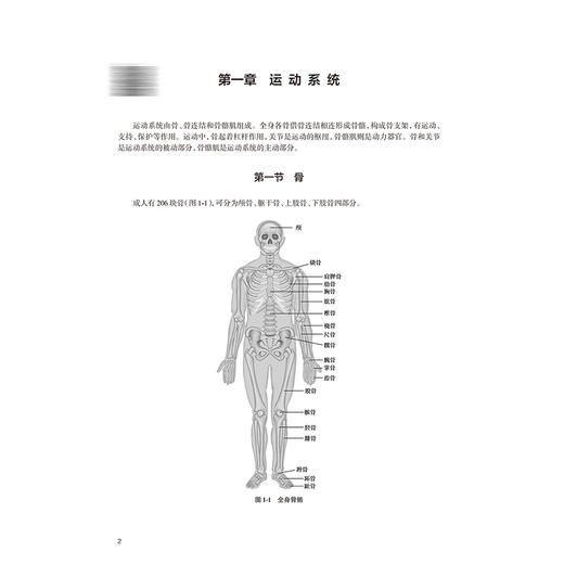 基础医学概论 高等学校教材 汪涛 主编 供医学院校药学、实验技术、管理、营销、心理和医学信息工程等专业用 人民卫生出版社 商品图4