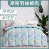 自制充羽绒被壳被套 半成品防钻绒钻毛被套高密贡缎防羽内胆布料 商品缩略图0