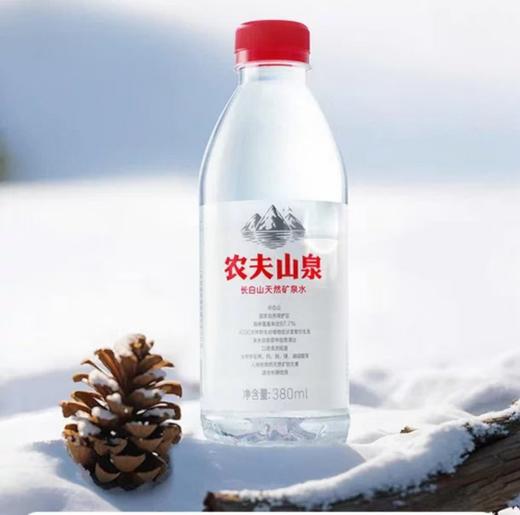 农夫山泉 长白山 天然矿泉水380ml/瓶 商品图0