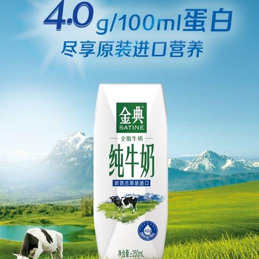 伊利金典250ml*12新西兰进口纯牛奶 商品图1