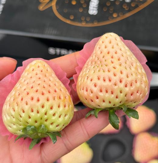 淡雪冰激凌草莓-礼盒 商品图3