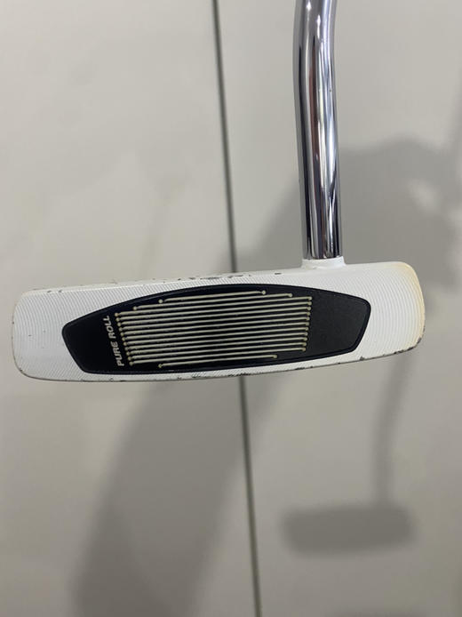 正品二手泰勒梅小半圆推杆 商品图1