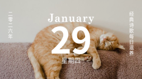 请收下这份特立独行的 “乐趣”。