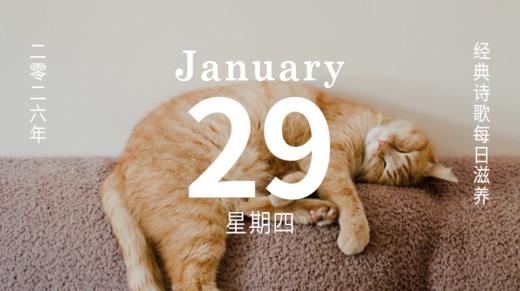 请收下这份特立独行的 “乐趣”。 商品图0