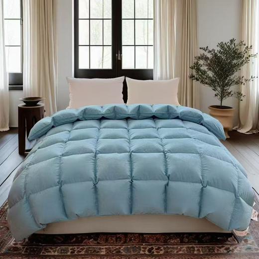 （全棉静音羽绒被套 送工具）款自制羽绒被壳半成品 自充绒高密双层防钻绒自制套 商品图6