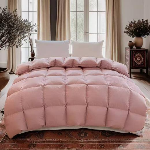 （全棉静音羽绒被套 送工具）款自制羽绒被壳半成品 自充绒高密双层防钻绒自制套 商品图2