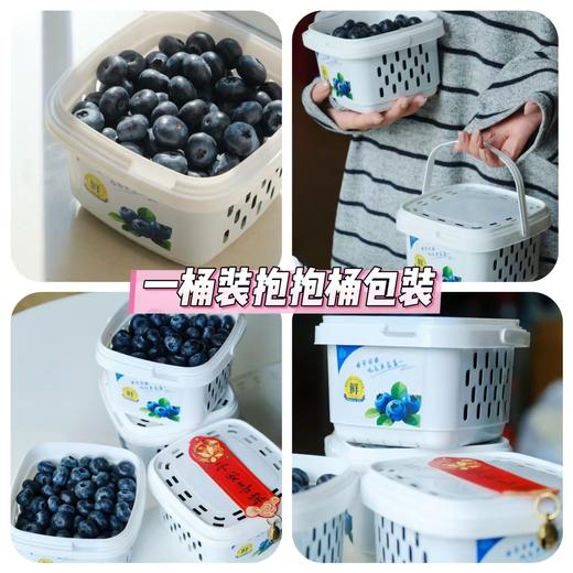 ⁴ 【云南花香蓝莓】比一般蓝莓好吃 冷藏后口感更佳 480g/桶 YC04-CR-SJSC 商品图0