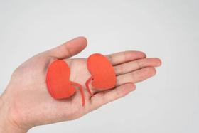 糖尿病病友常吃这3类食物，能帮你保护肾脏，赶紧安排上吧！