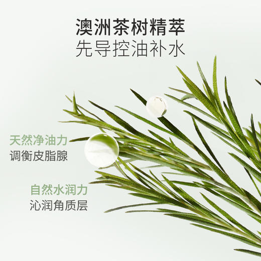 【控油保湿乳】油痘肌适用 清爽保湿控油 调节水油平衡 茶树控油水衡调肌乳120g 商品图3