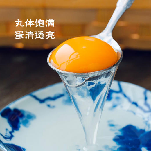 【正宗新鲜连城白鸭蛋】 溪水散养白鹜鸭蛋 现捡现发 商品图3