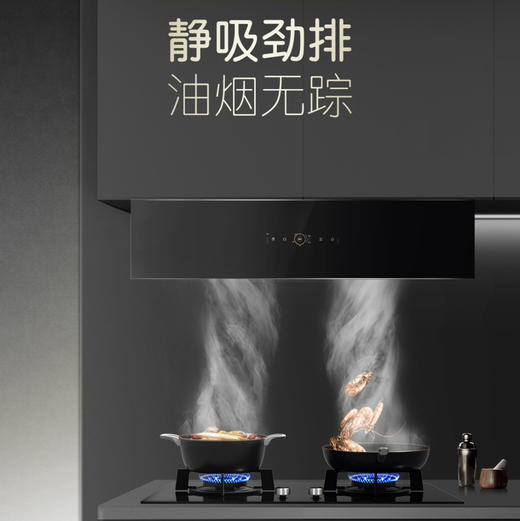 卡萨帝（Casarte）烟机 CXW-358-CLHUD 商品图2